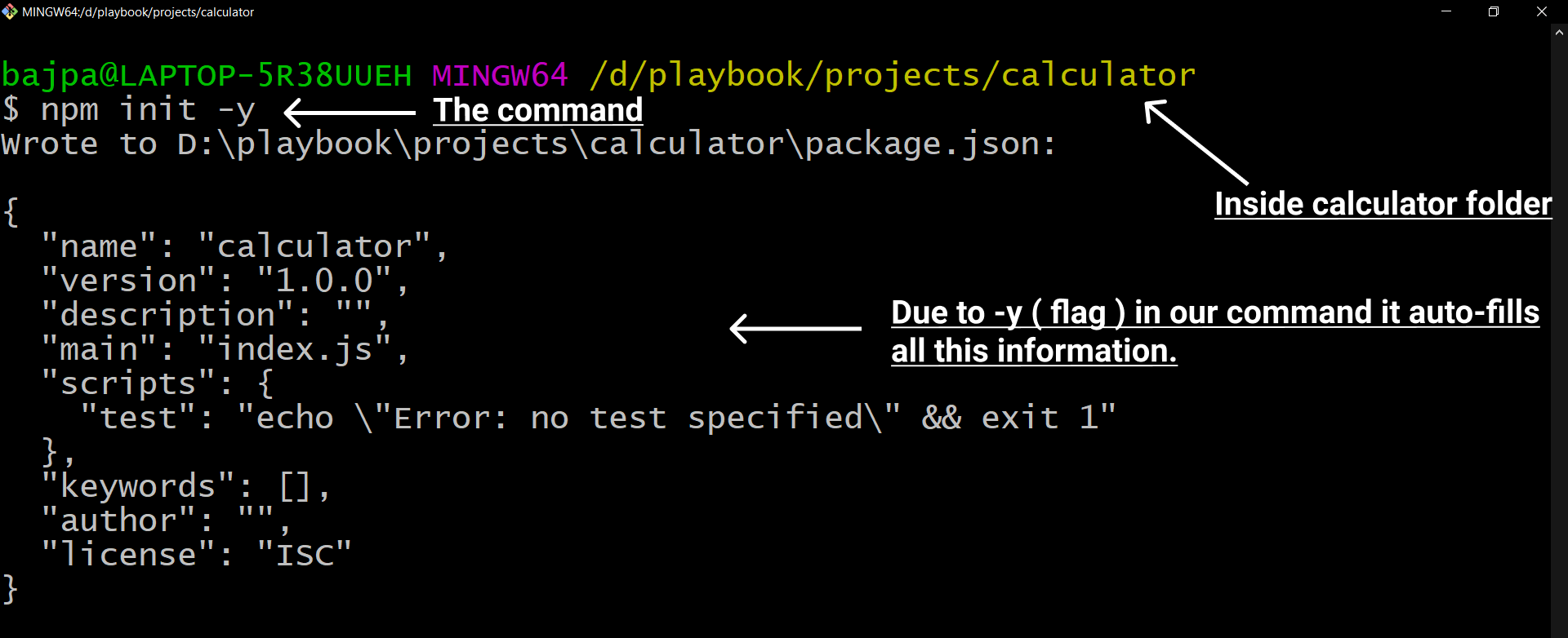  npm init command 